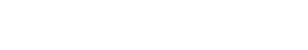 Internet Business Solutions Logo